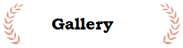 Our Gallery